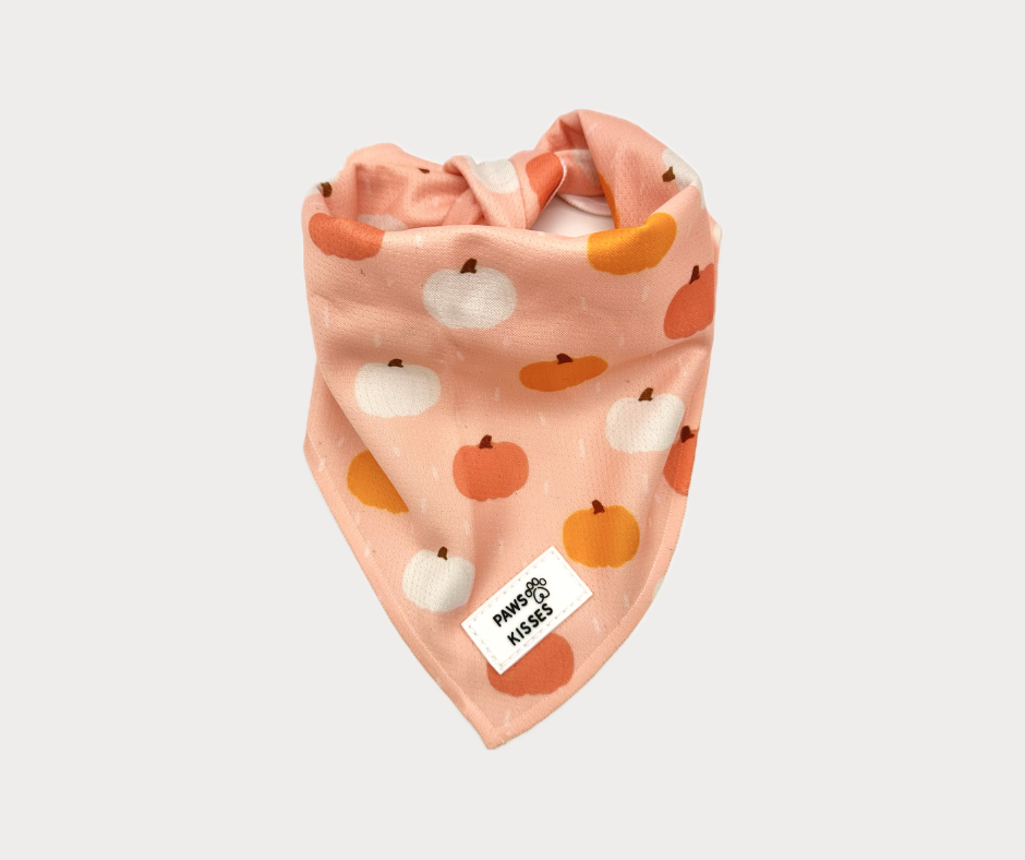 Cooling Bandana - Sweet Pumpkins