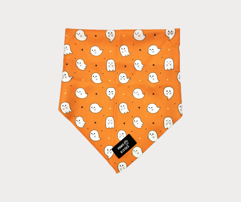 Cooling Bandana - Boo Thang