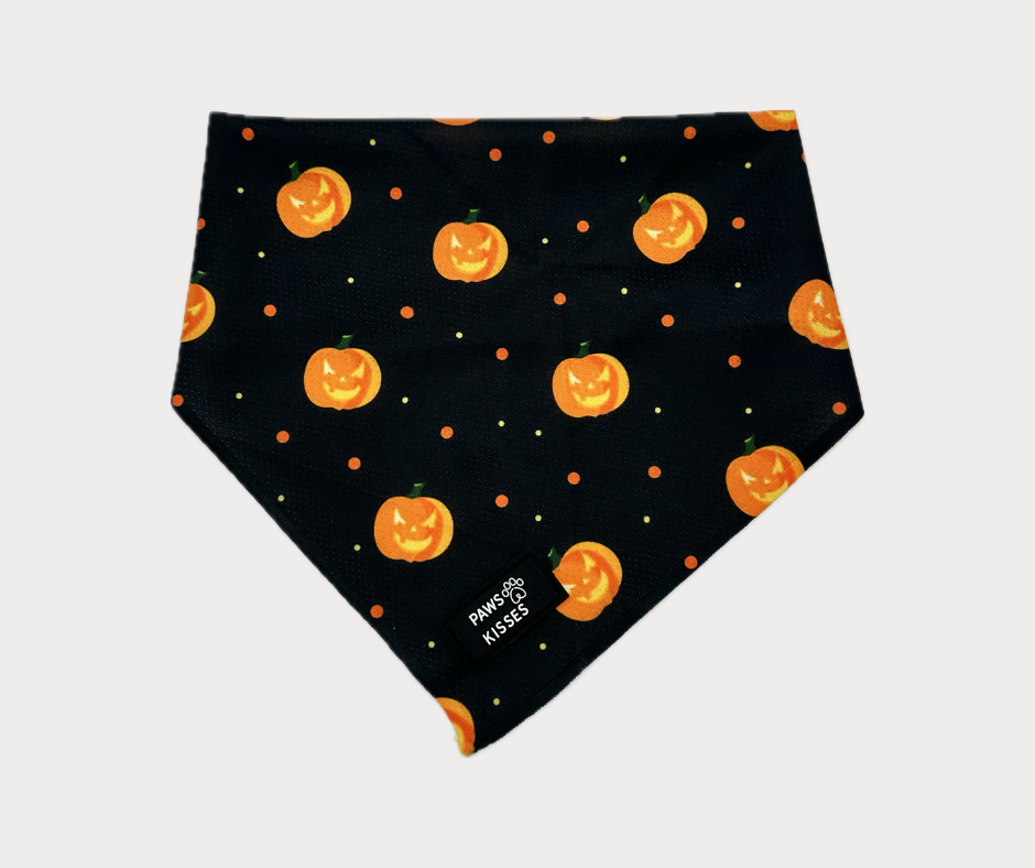 Cooling Bandana - Fright Night