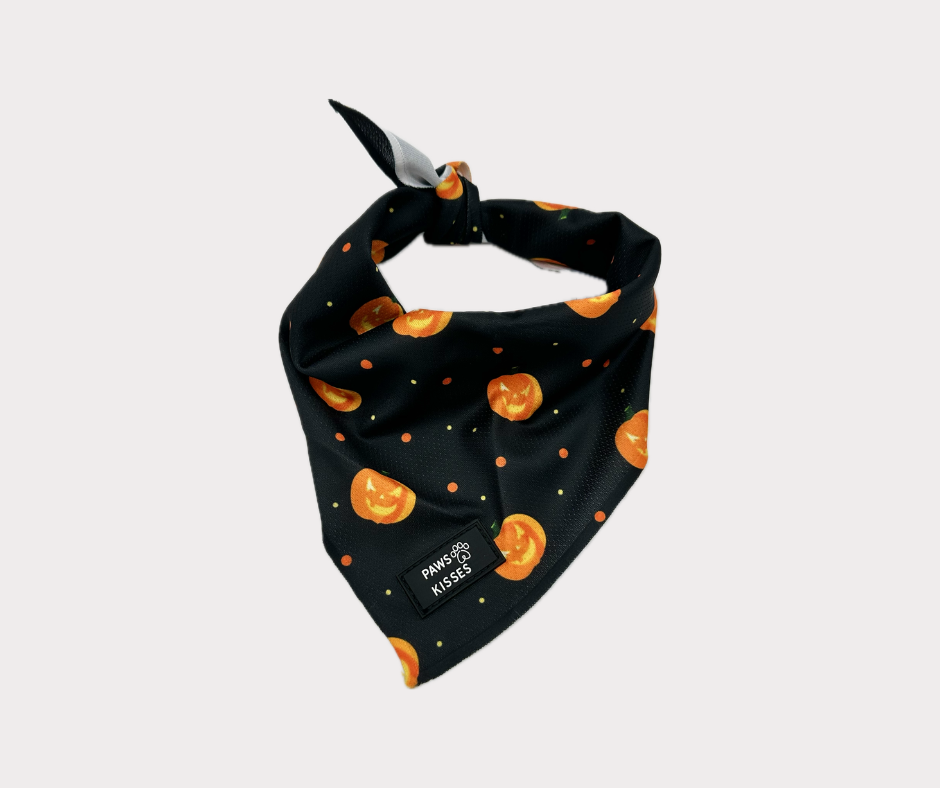Cooling Bandana - Fright Night