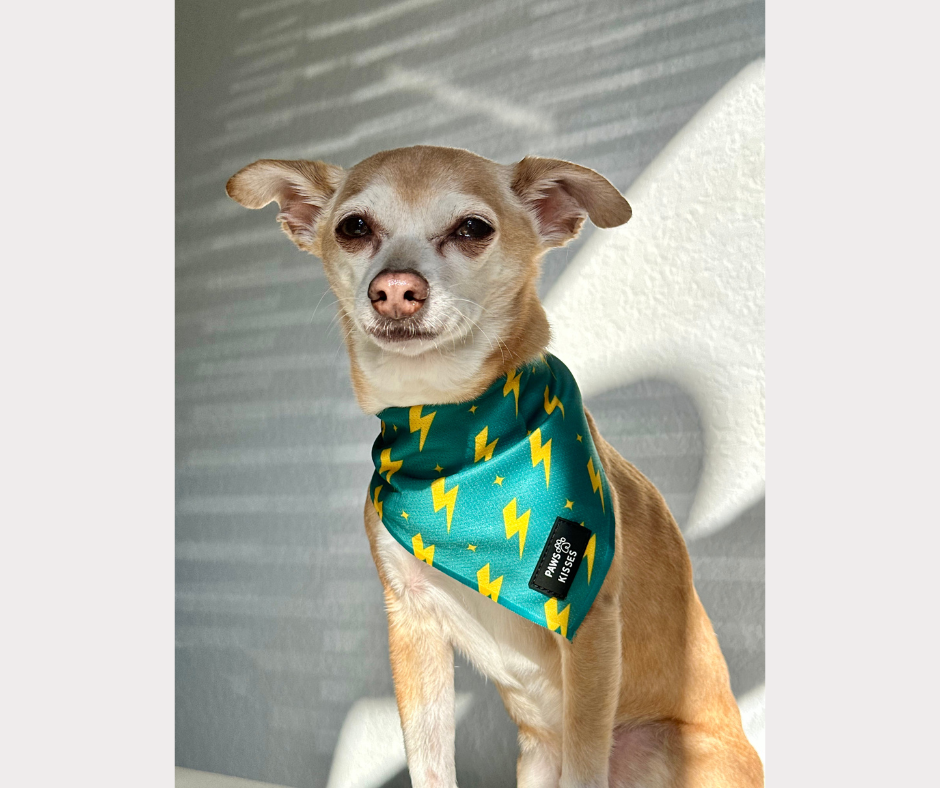 Cooling Bandana - Flash