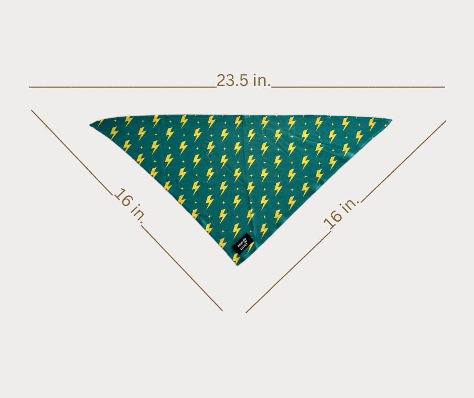 Cooling Bandana - Flash