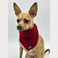 Bandana - Teddy Merlot