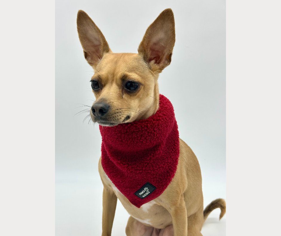 Bandana - Teddy Merlot
