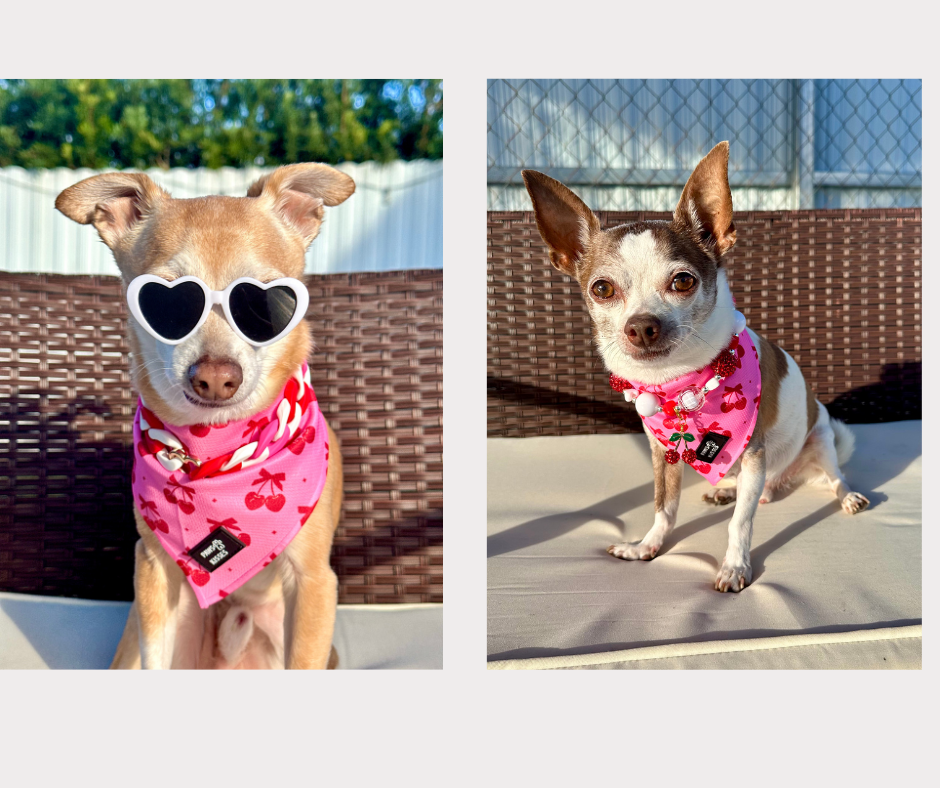 Cooling Bandana - Very Cherry