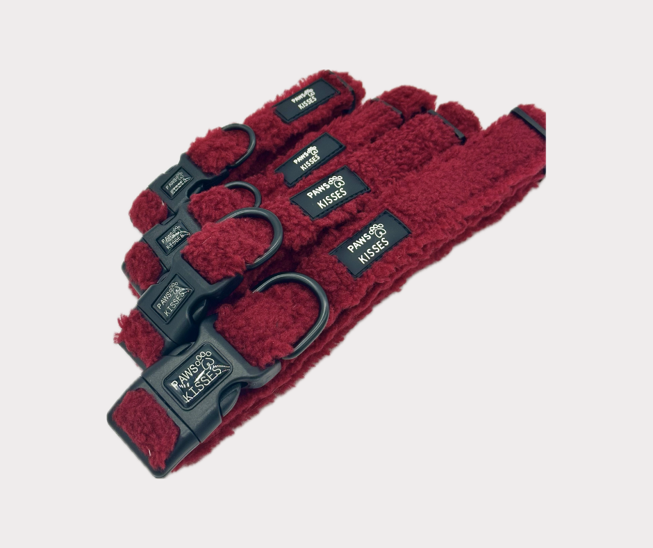 Adjustable Collar - Teddy Merlot