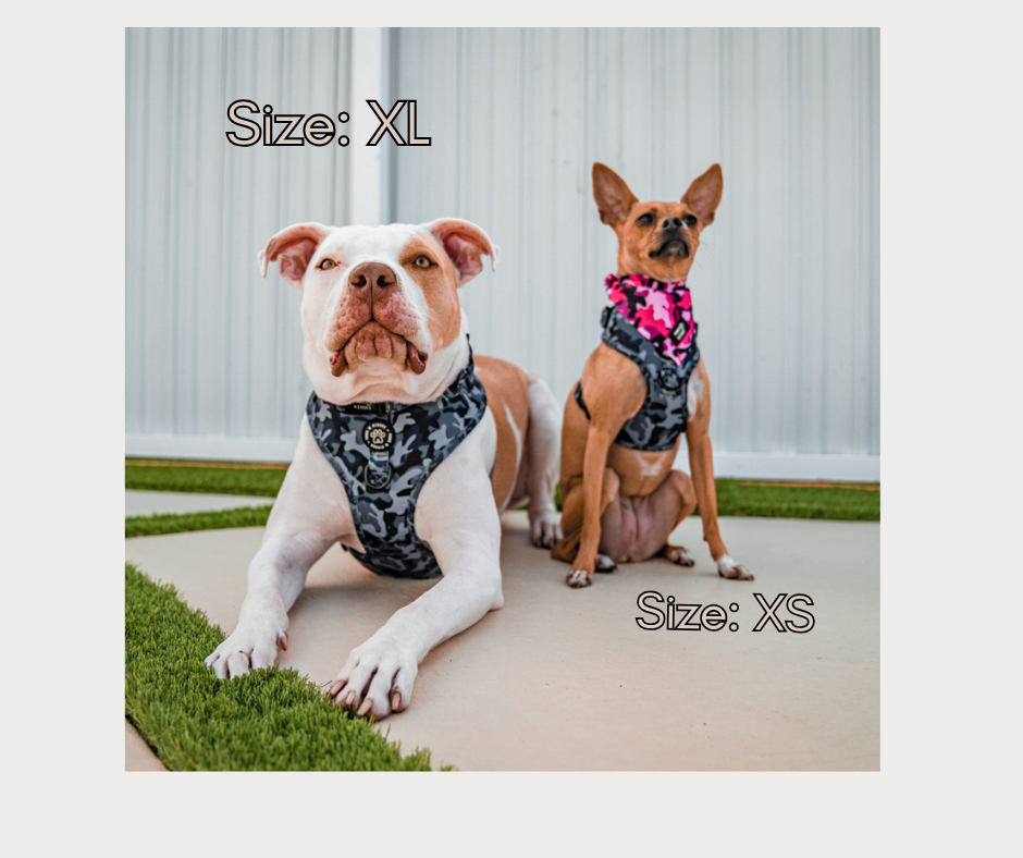 Adjustable No Pull Harness - Bark Ops