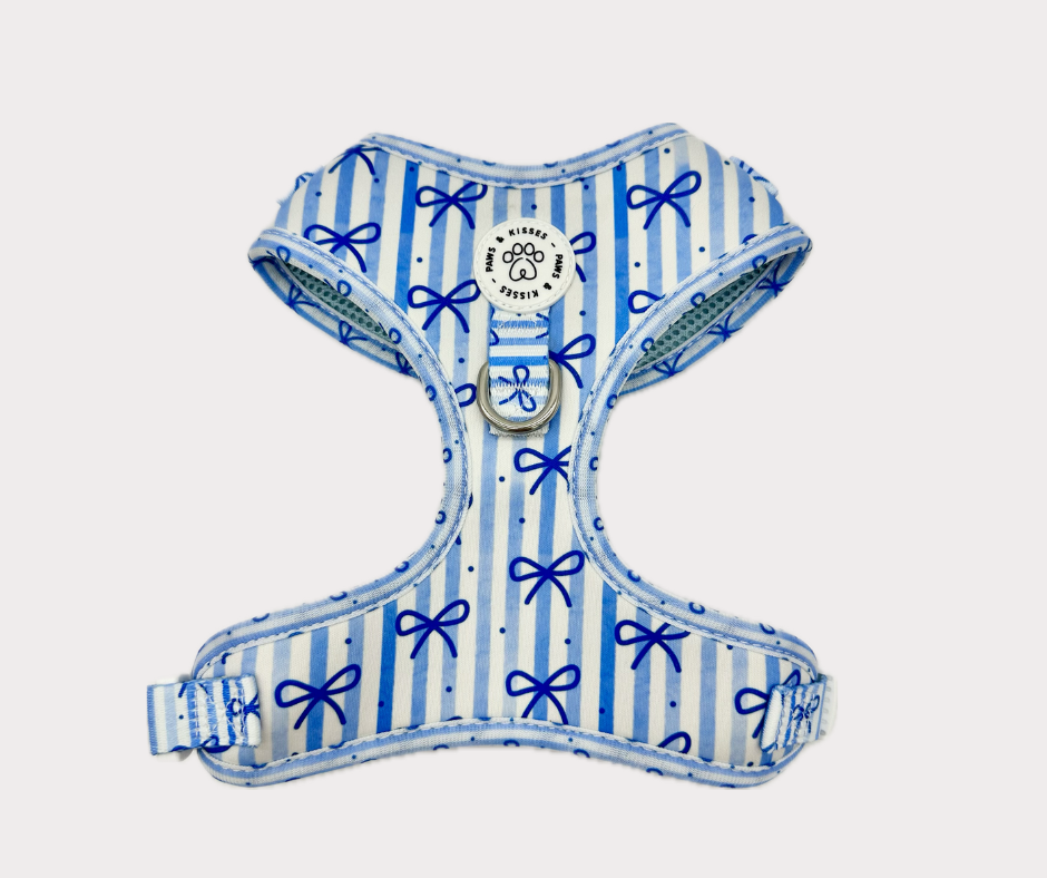 Adjustable No Pull Harness - Dream