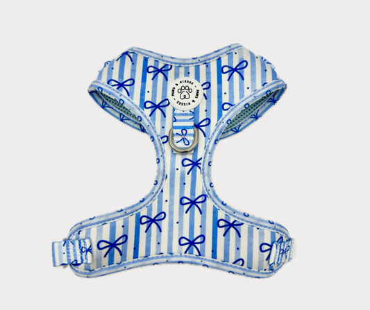 Adjustable No Pull Harness - Dream