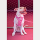 Adjustable No Pull Harness - Diva