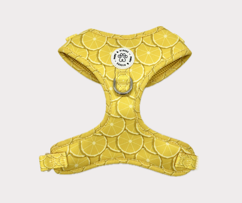Adjustable No Pull Harness - Lemon Drop