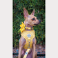 Adjustable No Pull Harness - Lemon Drop