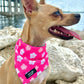 Cooling Bandana - Pink Petals