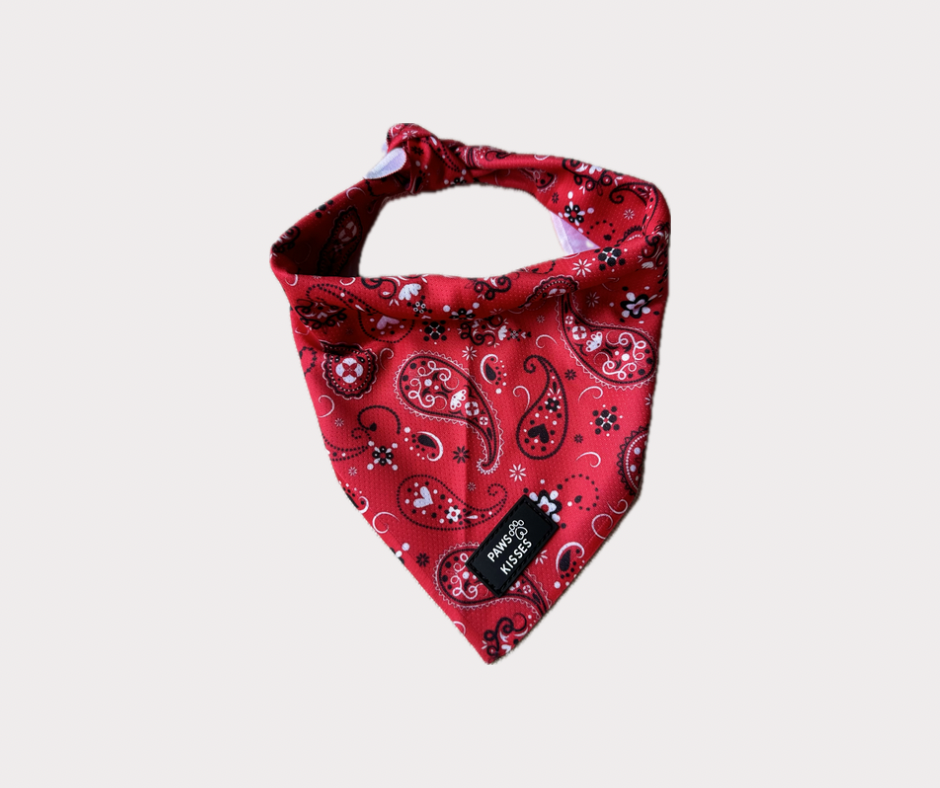 Cooling Bandana - Yeepaw