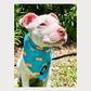 Cooling Bandana - Tailgate Tails