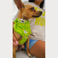 Cooling Bandana - Garden Grove