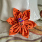 Collar Flowers - Halloween Collection