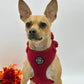 Adjustable Harness - Teddy Merlot