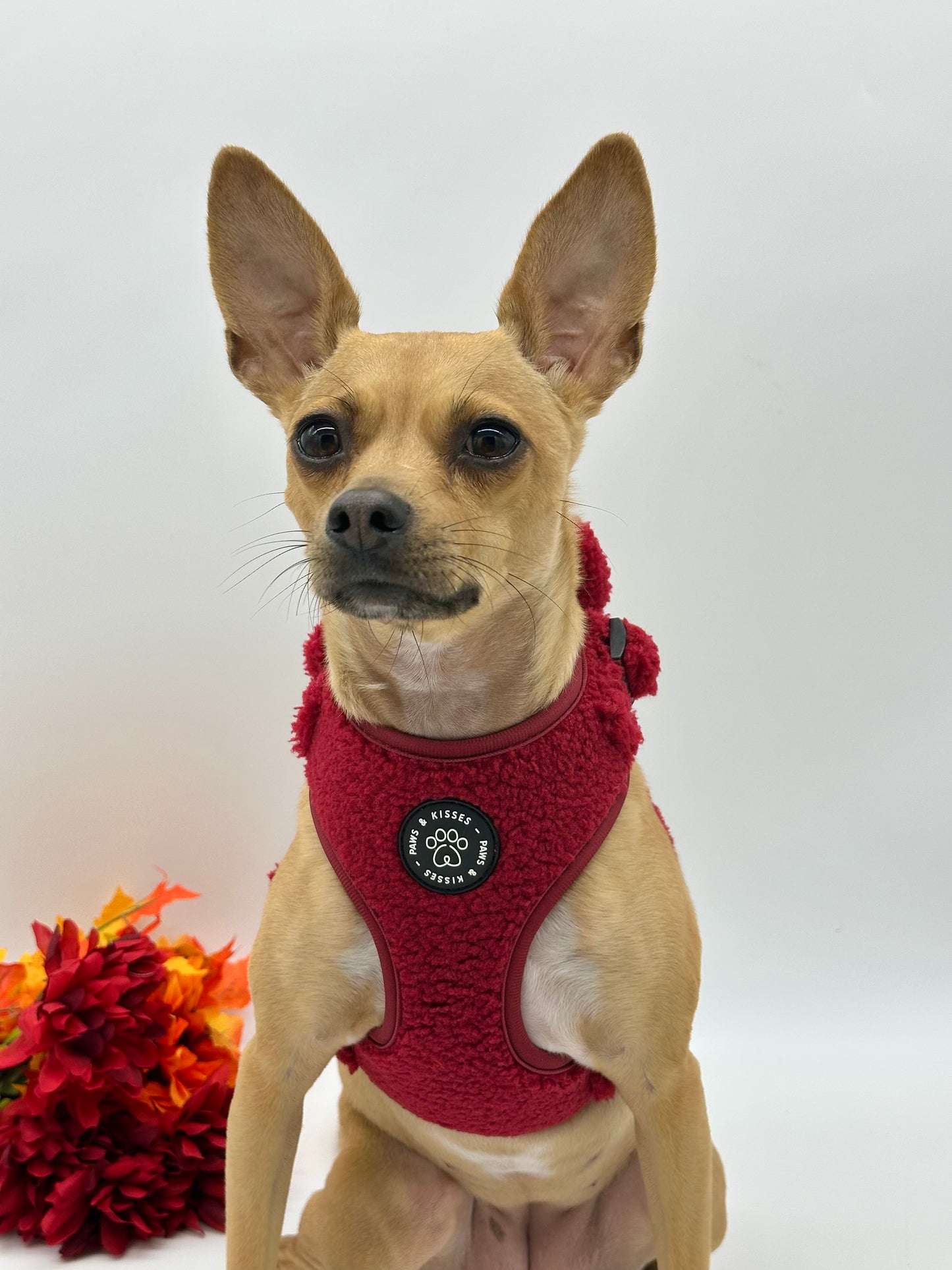 Adjustable Harness - Teddy Merlot