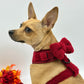 Bow - Teddy Merlot